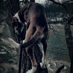 Meet your Posher, Blake